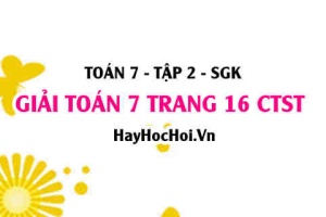 Giải Toán 7 trang 16 tập 2 Chân trời sáng tạo SGK